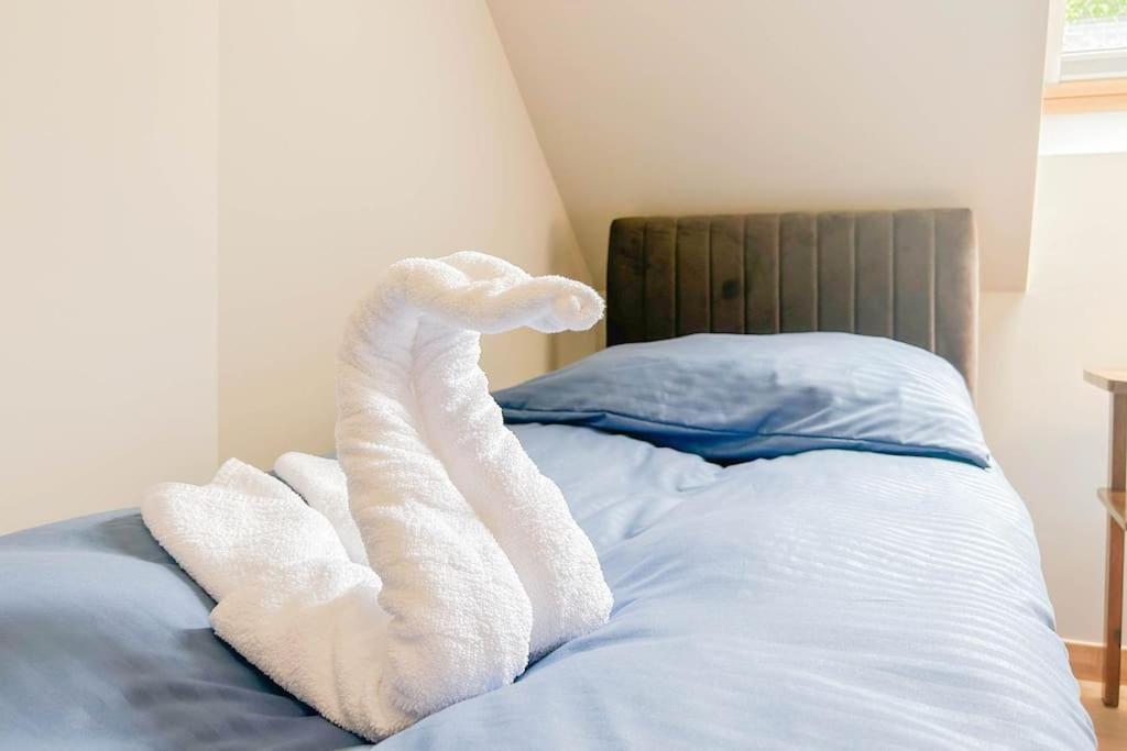 Apartament Ptasi Spiew 2 拉布卡 外观 照片